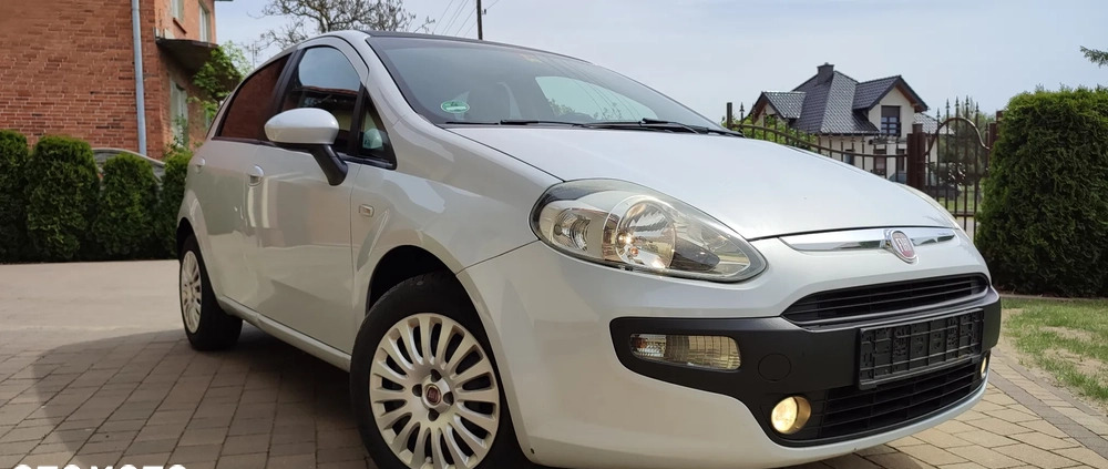 Fiat Punto Evo cena 13900 przebieg: 217000, rok produkcji 2010 z Babimost małe 326